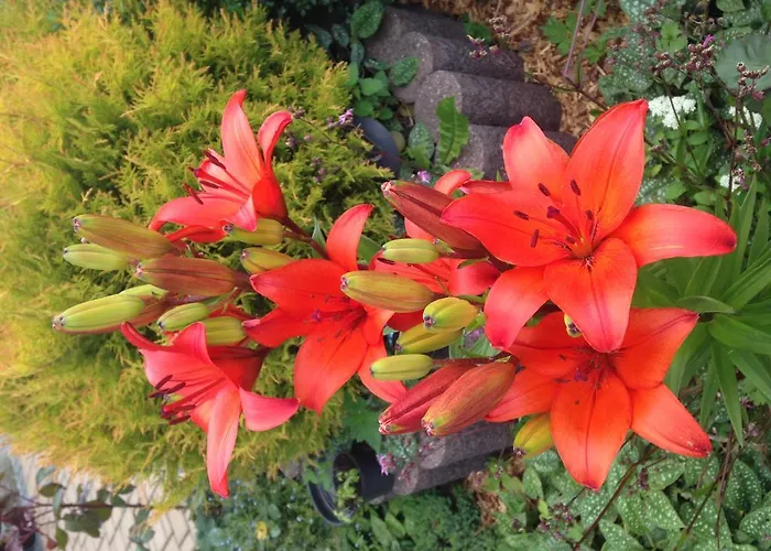 Krzesanica 3* Kościelisko